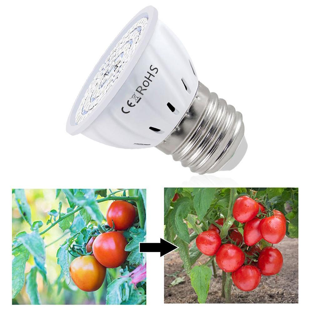 Plant Grow Light Full Spectrum - Lâmpada LED para Cultivo E27 60