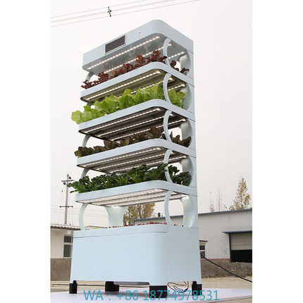 Smart Garden Indoor - arming Home Sistemas de cultivo hidropônicoNova