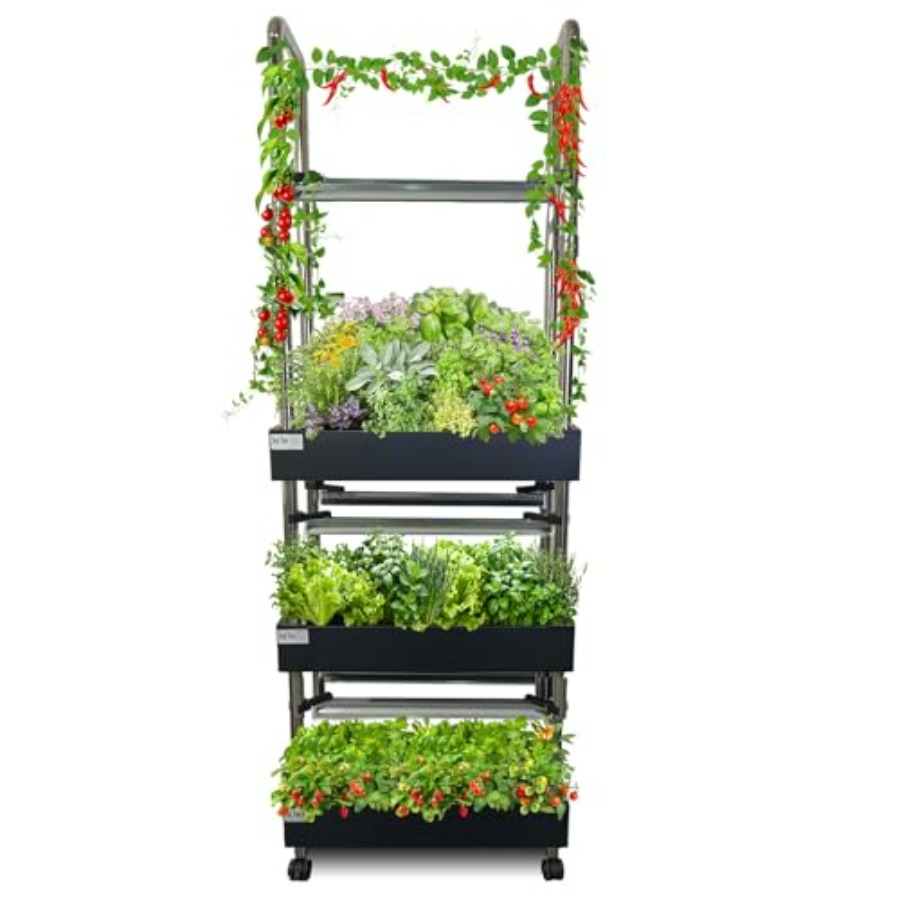 Smart Garden Indoor - Sistema de cultivo hidropônico interno: jardim