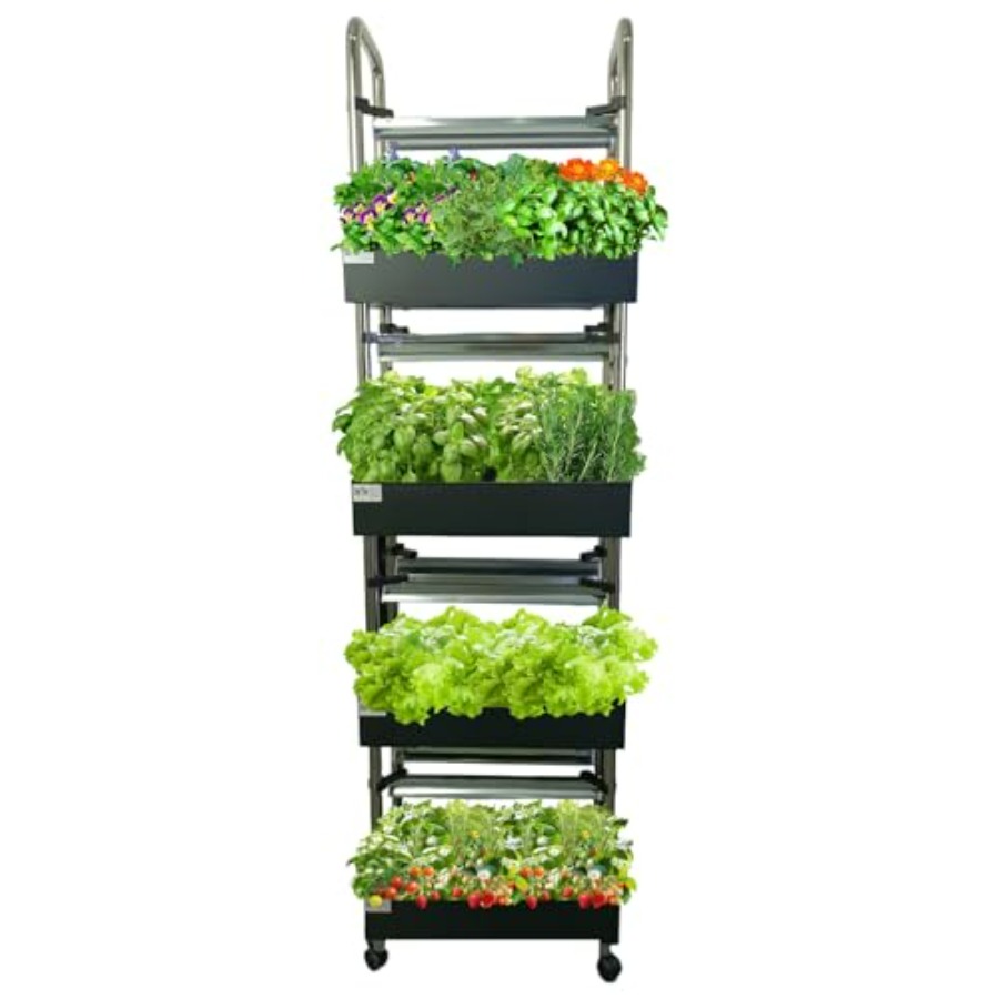Smart Garden Indoor - Sistema de cultivo hidropônico interno: jardim