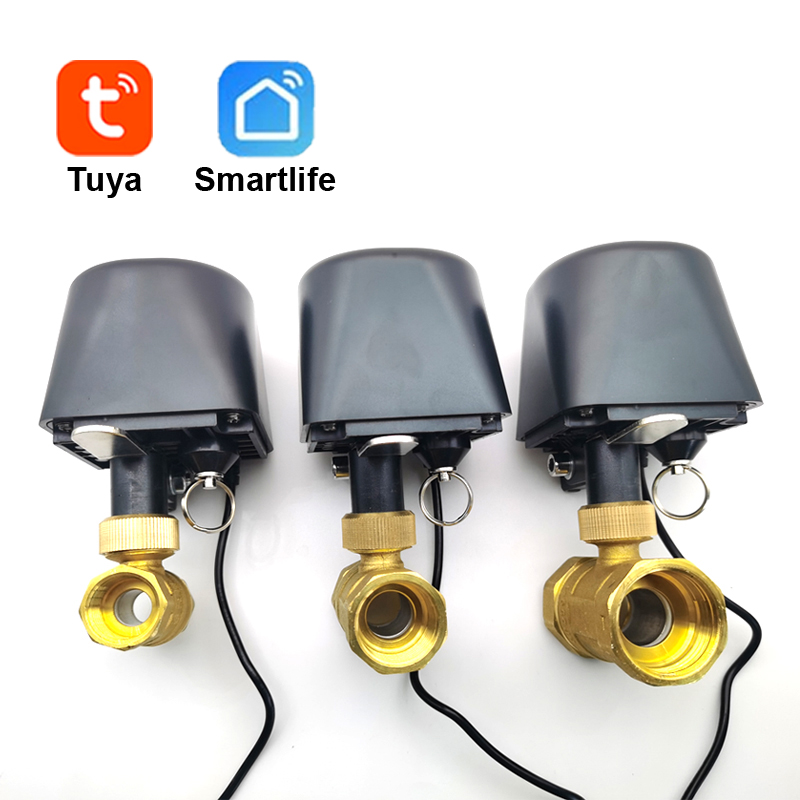 Smart Garden Zigbee - Tuya wifi ou zigbee válvula de
