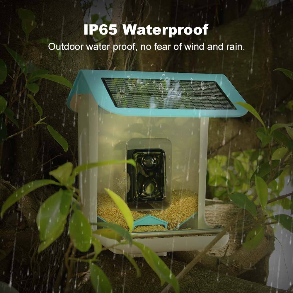 Stlfoutdoor vida selvagem wifi - Smart Garden Video avaliação e preço