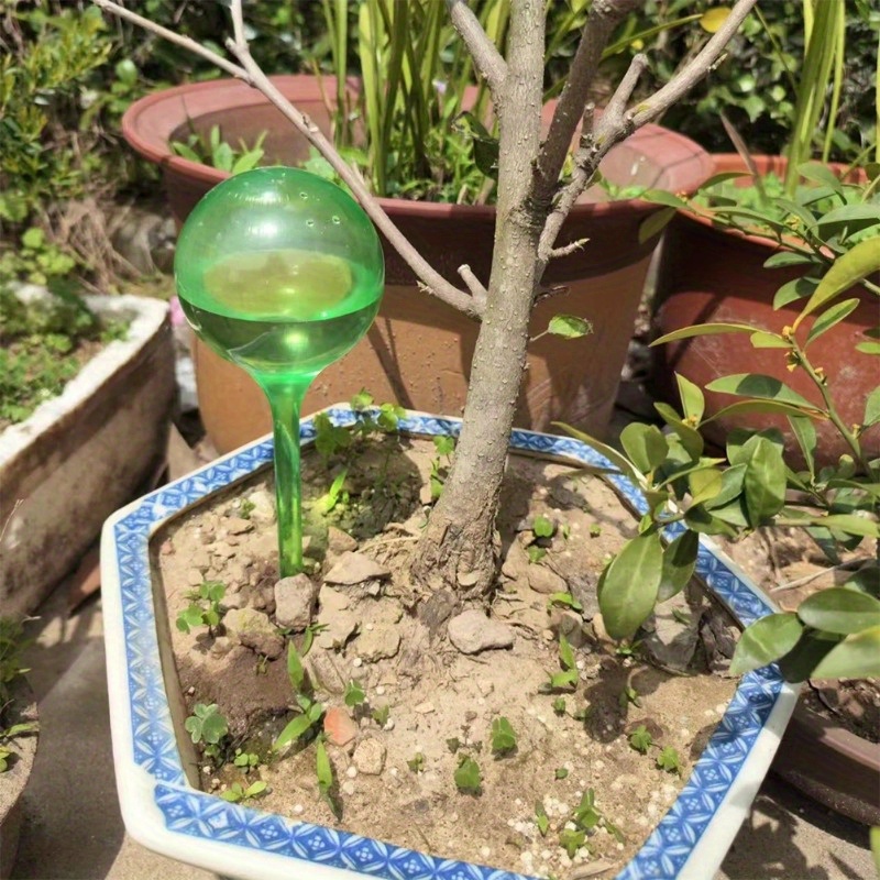 6PCS Bolas de Irrigação Automá - Yoocaa Smart Garden avaliação e preço