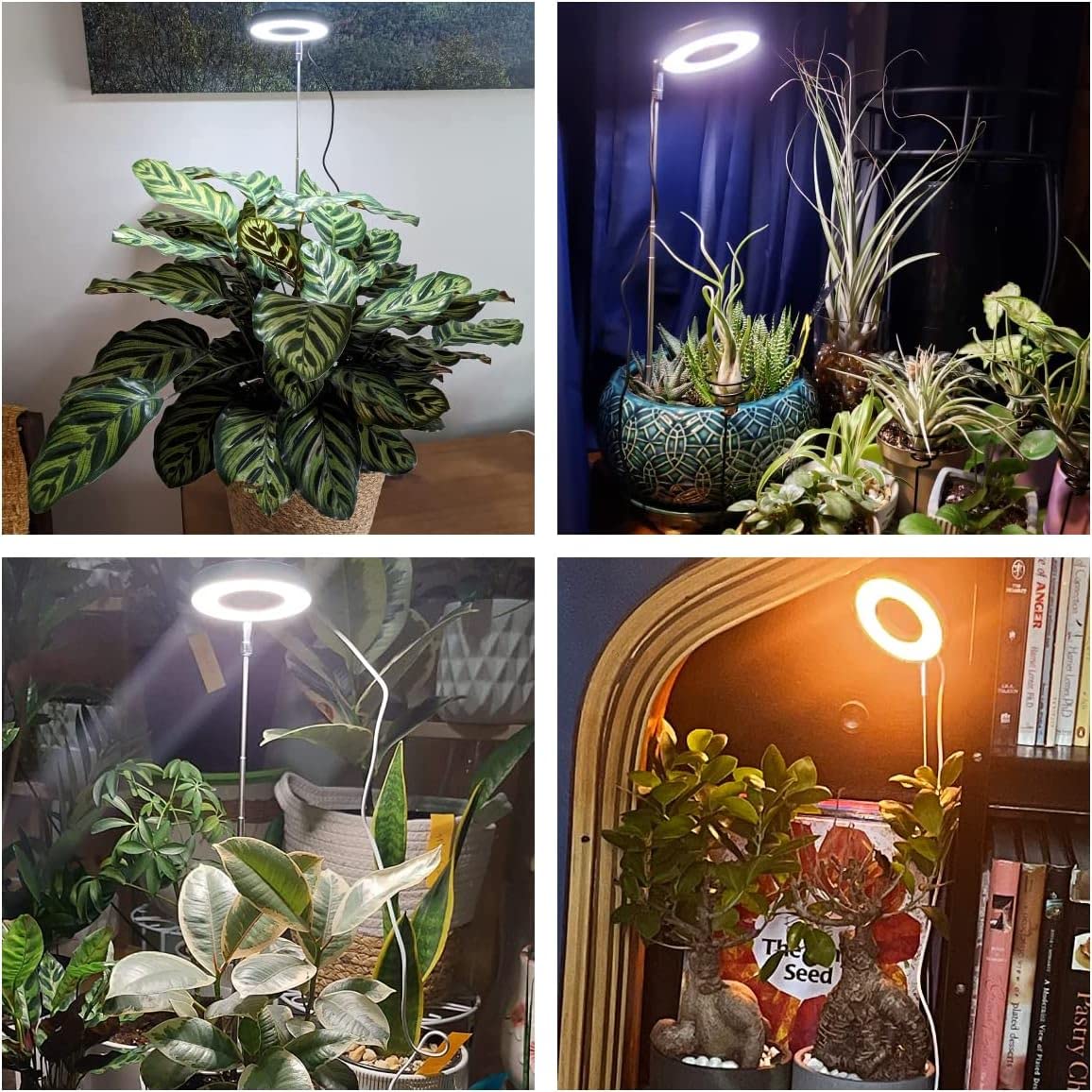 LED Ring Grow Lights com Stand - Plant Grow Light Full Spectrum avaliação e preço
