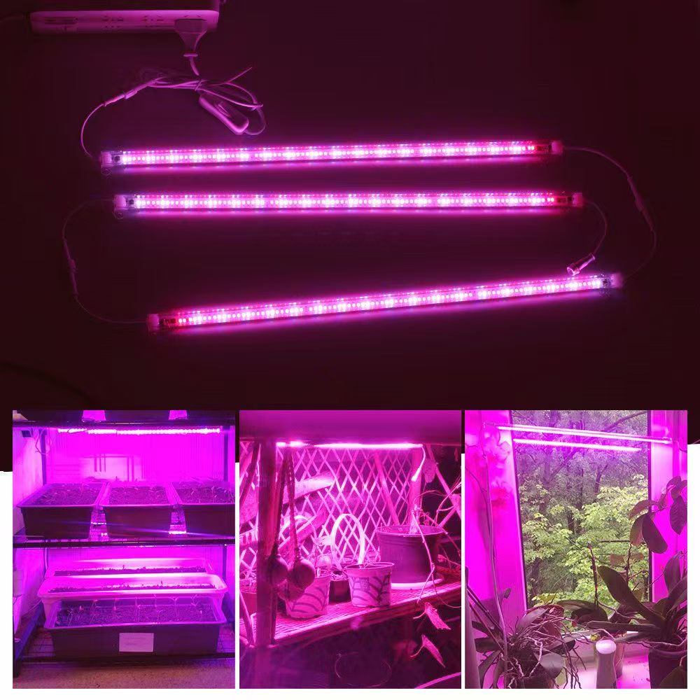 Lâmpada LED de 12 Polegadas pa - Plant Grow Light Full Spectrum avaliação e preço