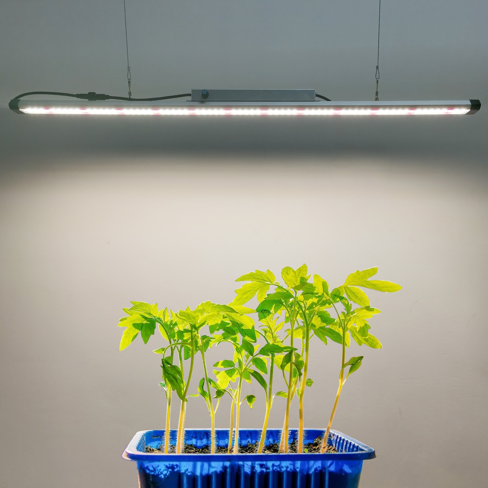 Barra de Luz LED de Espectro C - Plant Grow Light Full Spectrum avaliação e preço