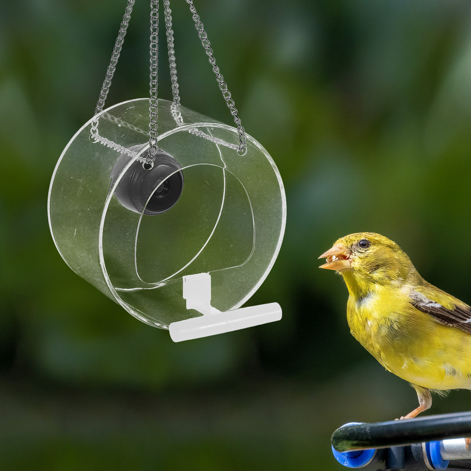 Plataforma inteligente com câm - Smart Garden Video avaliação e preço